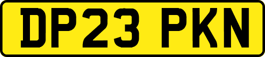 DP23PKN