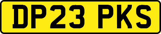 DP23PKS