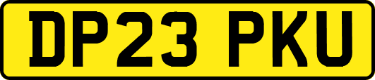DP23PKU