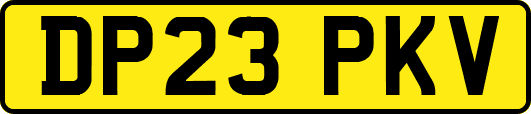 DP23PKV