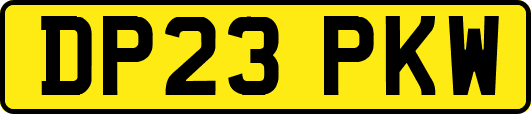 DP23PKW