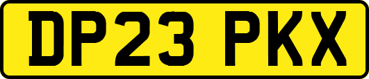 DP23PKX