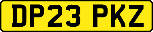 DP23PKZ