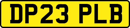 DP23PLB