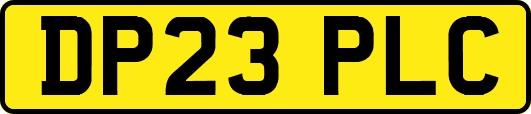 DP23PLC