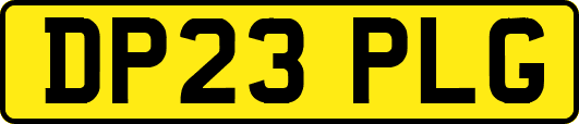 DP23PLG