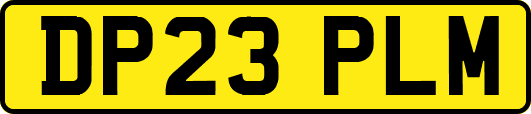 DP23PLM