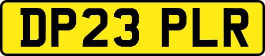 DP23PLR