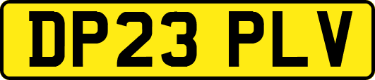 DP23PLV