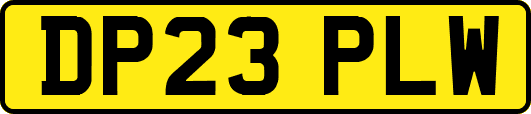 DP23PLW