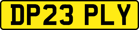 DP23PLY