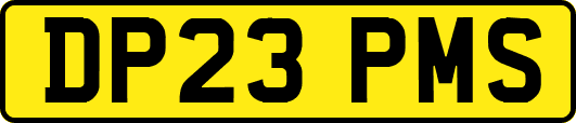 DP23PMS