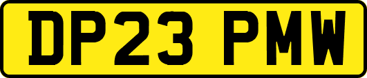 DP23PMW