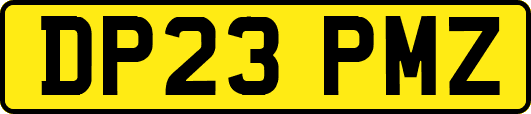 DP23PMZ