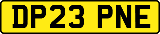 DP23PNE