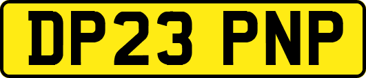 DP23PNP