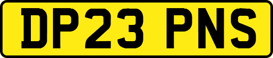 DP23PNS
