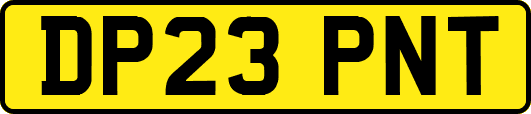 DP23PNT