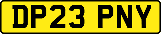 DP23PNY