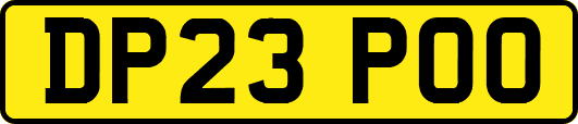 DP23POO