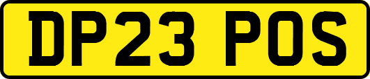 DP23POS