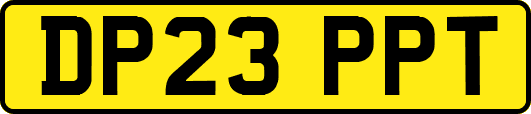 DP23PPT