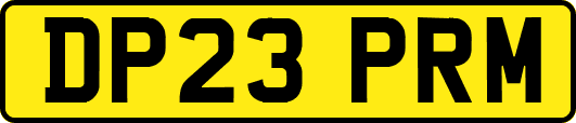 DP23PRM