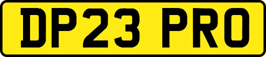 DP23PRO