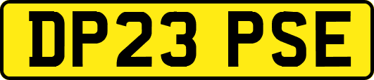 DP23PSE