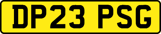 DP23PSG