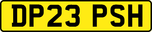 DP23PSH