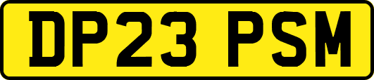 DP23PSM