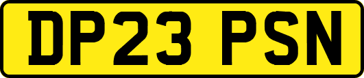DP23PSN