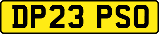 DP23PSO