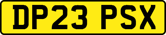 DP23PSX
