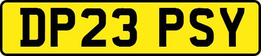 DP23PSY