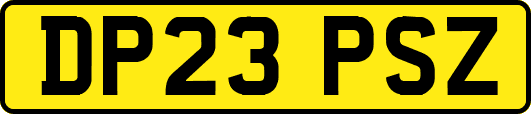DP23PSZ