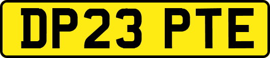 DP23PTE