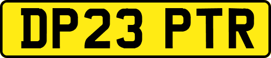 DP23PTR