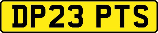 DP23PTS