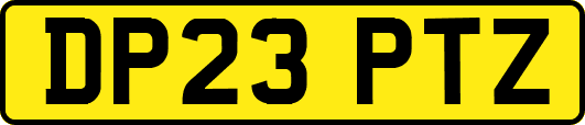 DP23PTZ