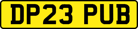 DP23PUB