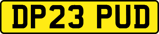 DP23PUD