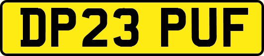 DP23PUF