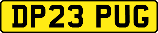 DP23PUG