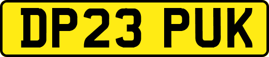 DP23PUK