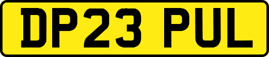 DP23PUL