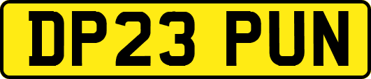 DP23PUN