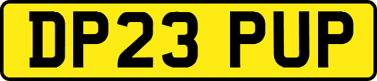 DP23PUP