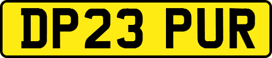 DP23PUR